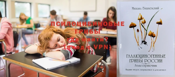экстази Дмитриев