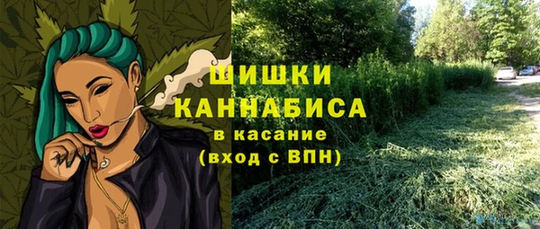 экстази Дмитриев