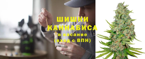 хмурый Дмитров