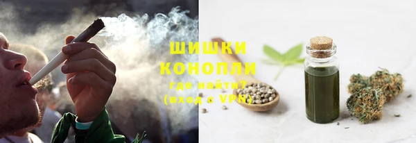 хмурый Дмитров