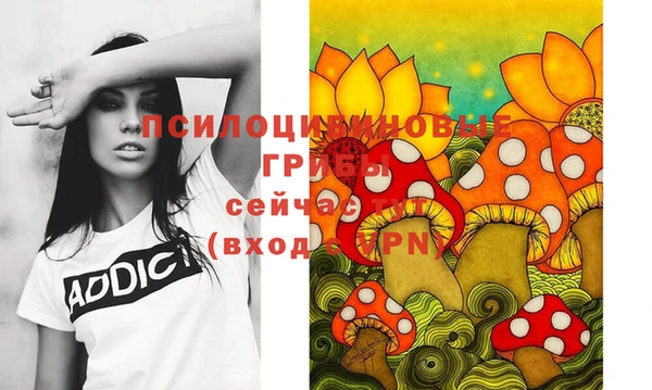 экстази Дмитриев