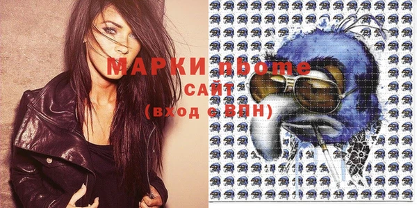 хмурый Дмитров