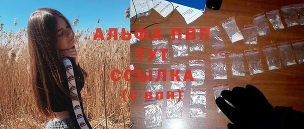 экстази Дмитриев