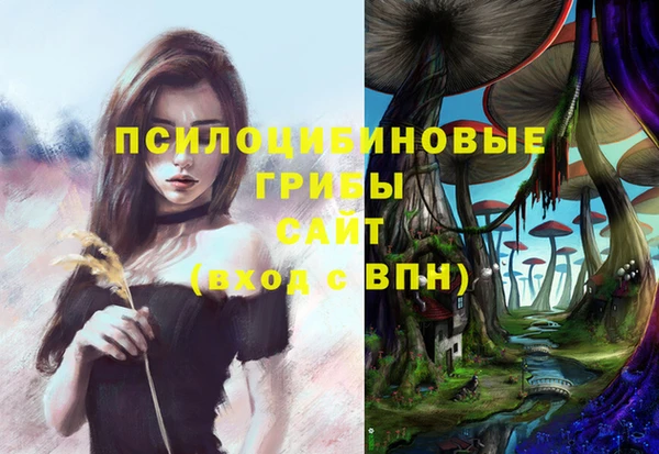 хмурый Дмитров